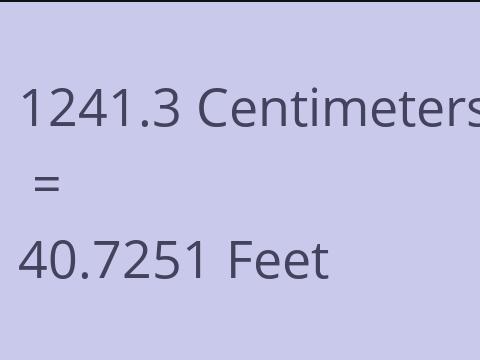 1241.3 CM TO FEET