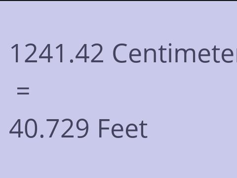 1241.42 CM TO FEET