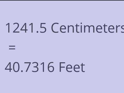 1241.5 CM TO FEET