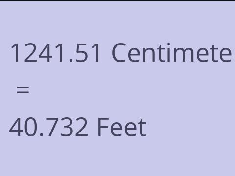 1241.51 CM TO FEET