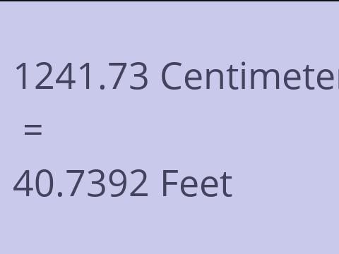 1241.73 CM TO FEET