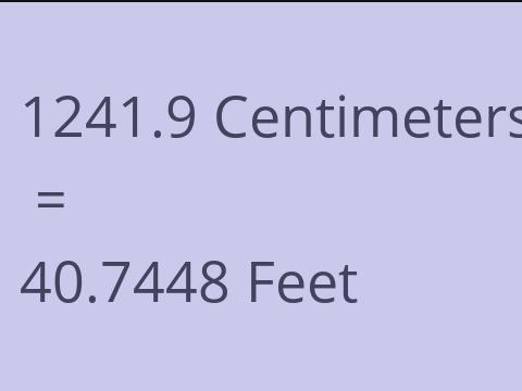 1241.9 CM TO FEET