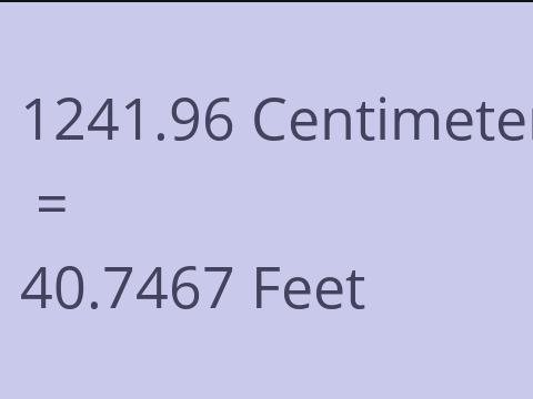 1241.96 CM TO FEET