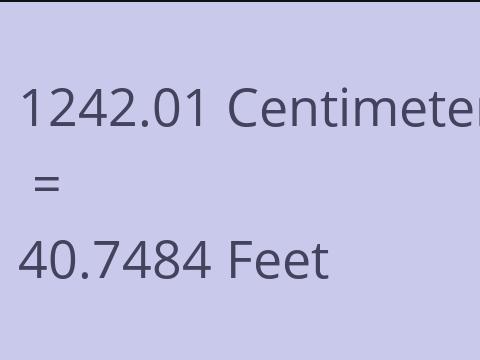 1242.01 CM TO FEET