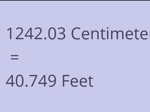 1242.03 CM TO FEET