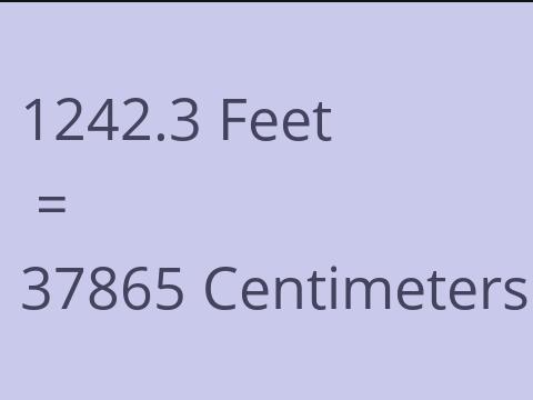 1242.3 FEET TO CM