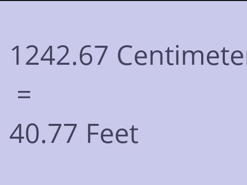 1242.67 CM TO FEET