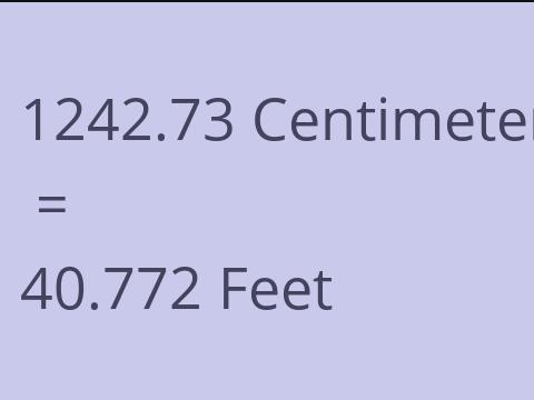 1242.73 CM TO FEET