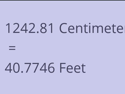 1242.81 CM TO FEET