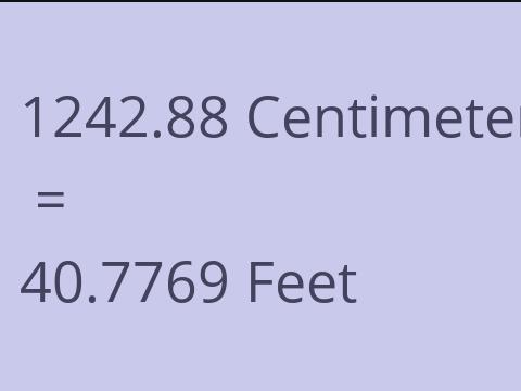 1242.88 CM TO FEET