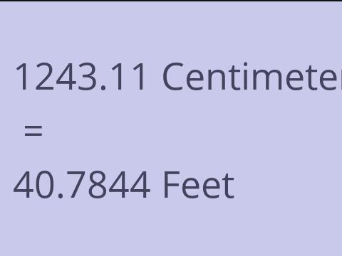 1243.11 CM TO FEET