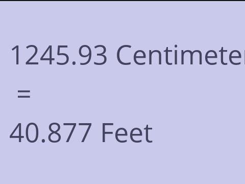 1245.93 CM TO FEET