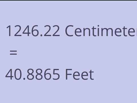 1246.22 CM TO FEET