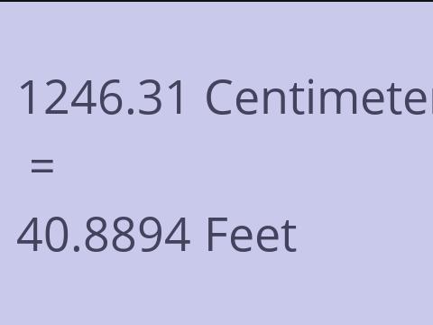 1246.31 CM TO FEET