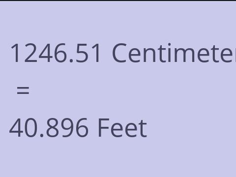 1246.51 CM TO FEET