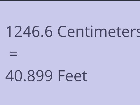 1246.6 CM TO FEET