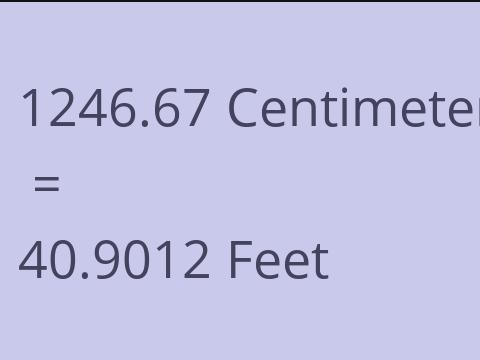 1246.67 CM TO FEET