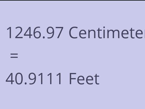 1246.97 CM TO FEET