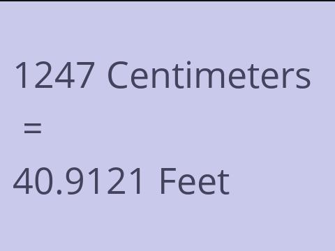 1247 CM TO FEET