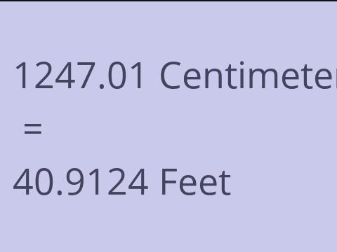 1247.01 CM TO FEET