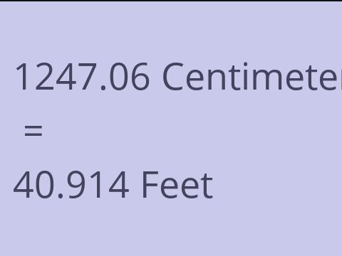 1247.06 CM TO FEET