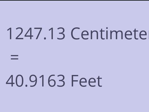 1247.13 CM TO FEET