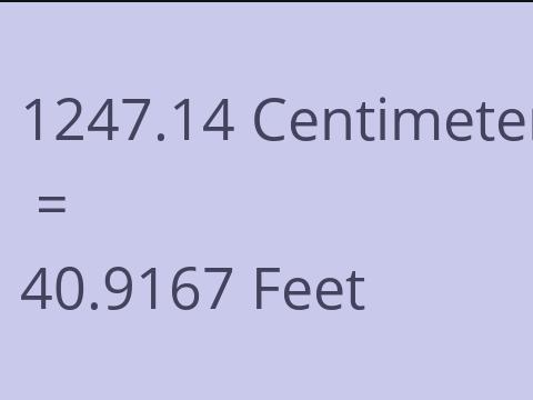 1247.14 CM TO FEET