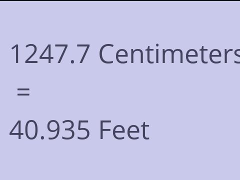 1247.7 CM TO FEET