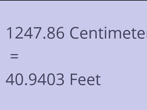 1247.86 CM TO FEET