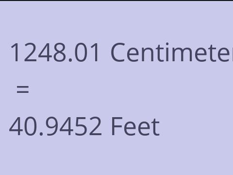 1248.01 CM TO FEET