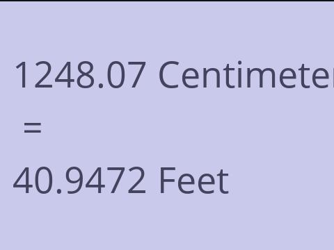 1248.07 CM TO FEET