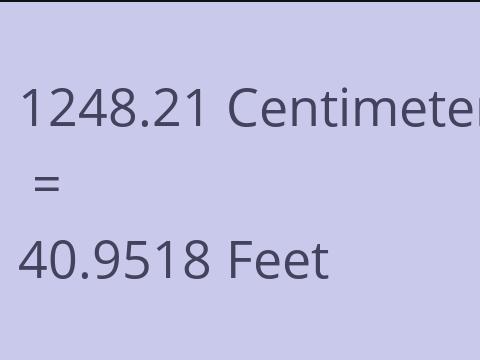 1248.21 CM TO FEET