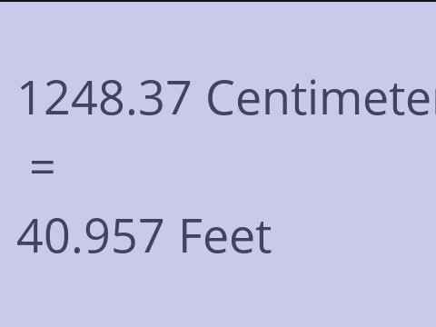 1248.37 CM TO FEET