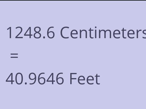 1248.6 CM TO FEET