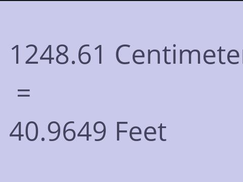 1248.61 CM TO FEET