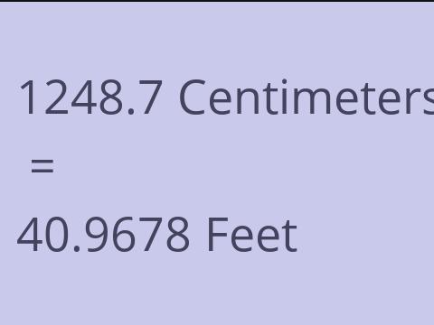 1248.7 CM TO FEET