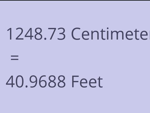 1248.73 CM TO FEET