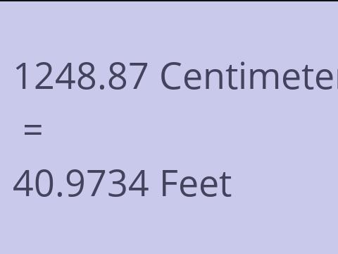 1248.87 CM TO FEET