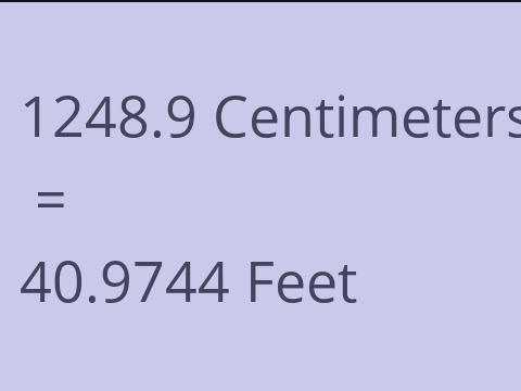 1248.9 CM TO FEET