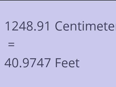 1248.91 CM TO FEET