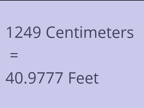 1249 CM TO FEET