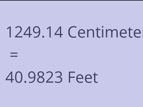 1249.14 CM TO FEET