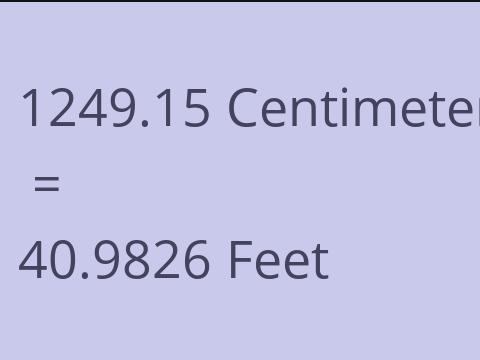 1249.15 CM TO FEET