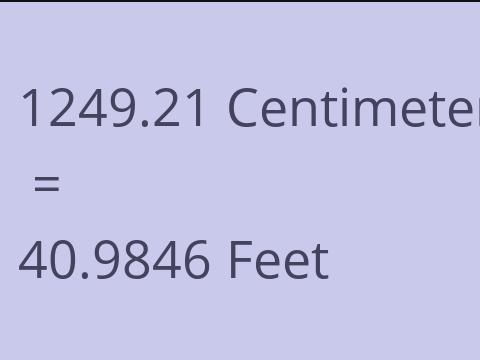 1249.21 CM TO FEET