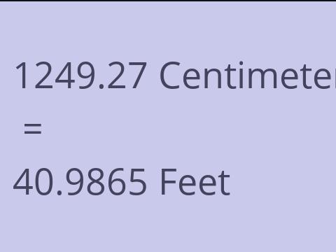 1249.27 CM TO FEET