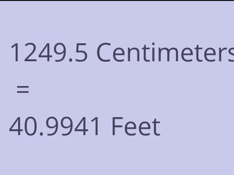 1249.5 CM TO FEET