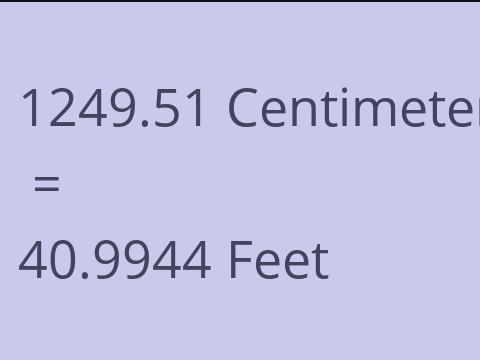 1249.51 CM TO FEET