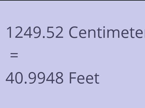 1249.52 CM TO FEET