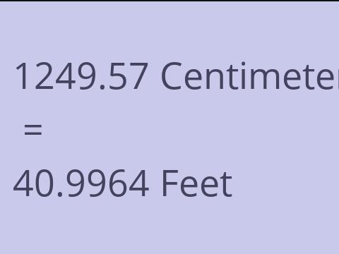 1249.57 CM TO FEET