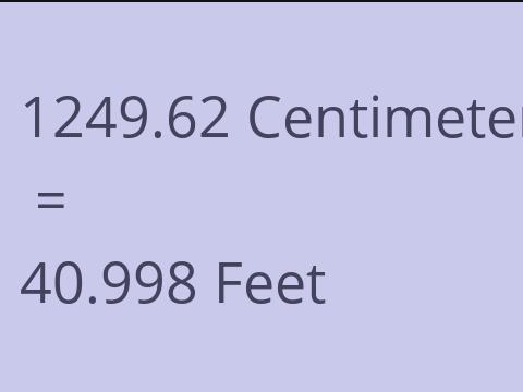 1249.62 CM TO FEET